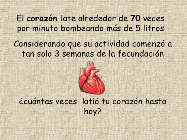 El corazón