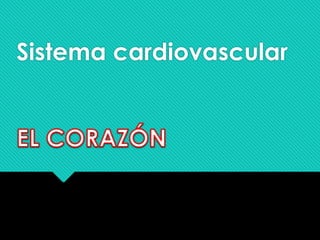 Sistema cardiovascular
 
