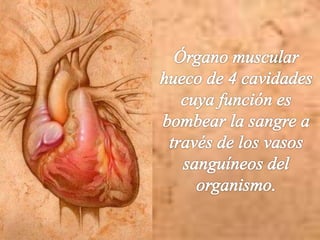 El Corazón. Conceptos básicos. ♥ | PPTX