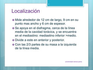 Localización
 Mide alrededor de 12 cm de largo, 9 cm en su
punto mas ancho y 6 cm de espesor.
 Se apoya en el diafragma, cerca de la línea
media de la cavidad torácica, y se encuentra
en el mediastino: mediastino inferior >medio.
 Divide a este en anterior y posterior.
 Con las 2/3 partes de su masa a la izquierda
de la línea media.
uviversidad veracruzana
3
 