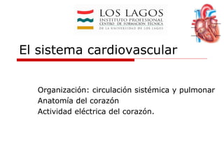 El sistema cardiovascular
Organización: circulación sistémica y pulmonar
Anatomía del corazón
Actividad eléctrica del corazón.
 