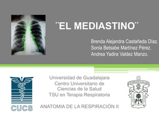 ¨EL MEDIASTINO¨
Universidad de Guadalajara
Centro Universitario de
Ciencias de la Salud
TSU en Terapia Respiratoria
ANATOMIA DE LA RESPIRACIÓN II
Brenda Alejandra Castañeda Díaz.
Sonia Betsabe Martínez Pérez.
Andrea Yadira Valdez Manzo.
 