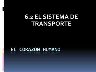 6.2 EL SISTEMA DE
      TRANSPORTE


EL CORAZÓN HUMANO
 