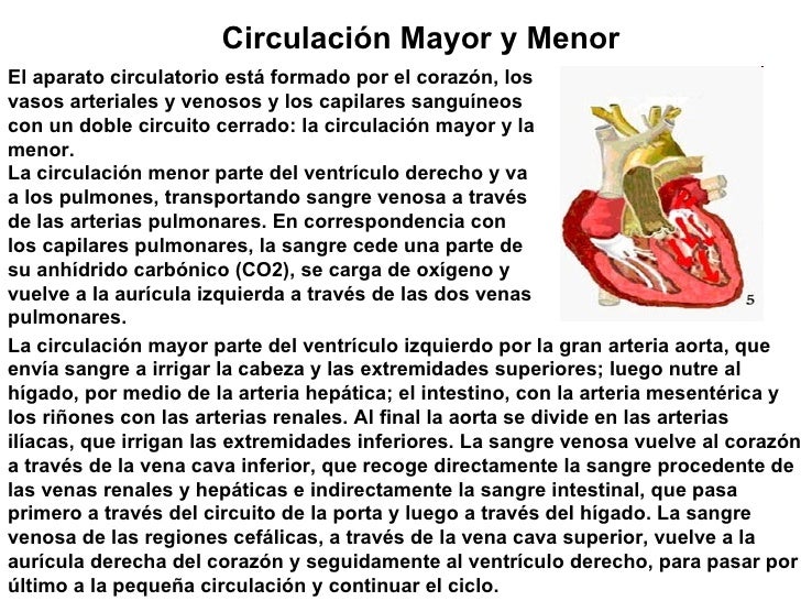 El Corazon