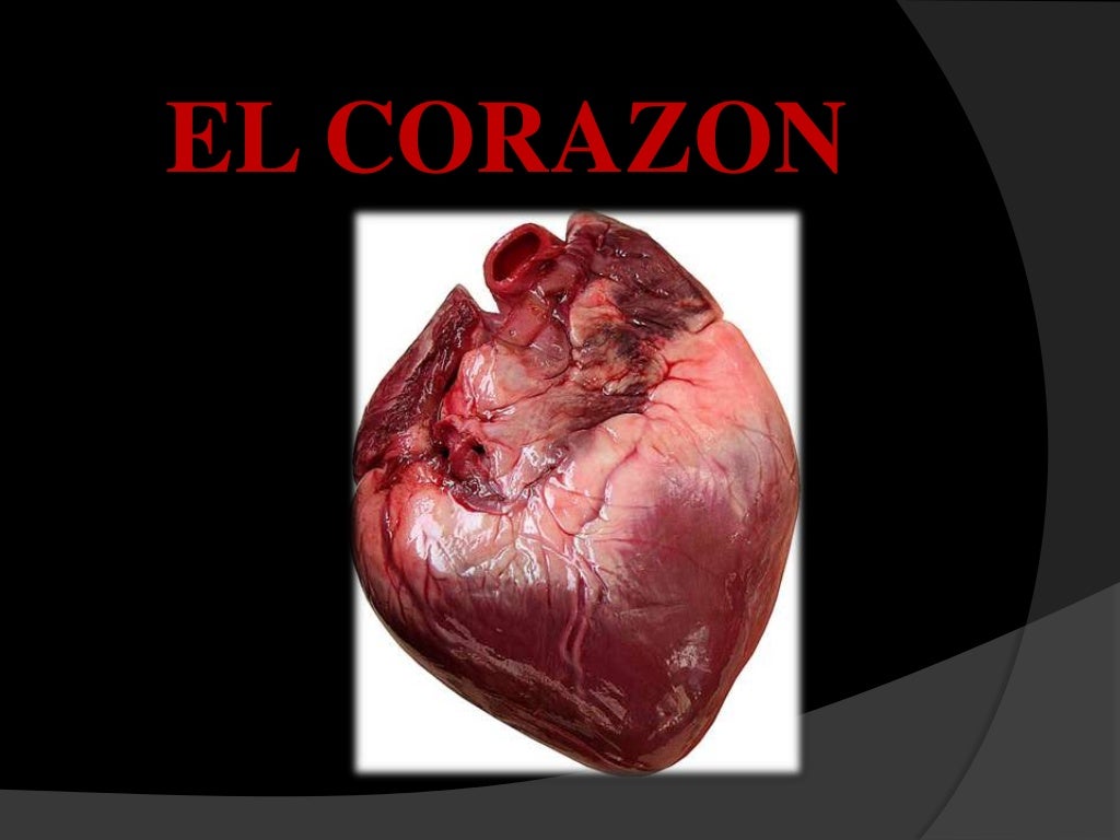 El corazon