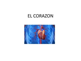 EL CORAZON
 