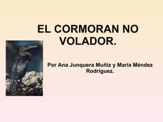 EL CORMORAN NO VOLADOR. Por Ana Junquera Muñiz y María Méndez Rodríguez. 