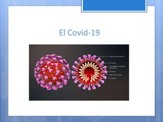 El Covid-19
 