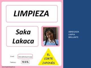 ABNEGADA LIMPIA BRILLANTE 