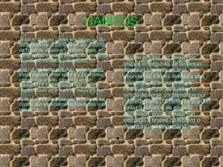 HÁBITOS
● Al corzo le gusta comer leguminosas. Su
dieta alimentaria consiste en el consumo
de hojas de arbustos y árboles bajos, así
como bayas y brotes tiernos. Es un animal
más de ramonear que de pastos.
● Los corzos están 236 días en gestación.
Estos pueden tener entre 1 y 2 corcinos
cada corza al año. Las crías están
mamando 6 meses desde que nacen.
Suelen nacer en el mes de mayo o junio.
●
Al final del otoño y durante el invierno los
corzos son especialmente tolerantes unos
con otros,
Siendo posible ver pequeños
grupos en algunas de las áreas,
dónde el alimento es más
abundante. Ello es debido a una
estrategia de supervivencia
invernal, porque así limitan el
riesgo de verse sorprendidos por
depredadores. También se pueden
juntar a rebaños de ganado
doméstico, como ovejas. Sin
embargo a finales de febrero o
marzo se van dispersando.
●
 