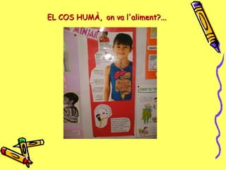 EL COS HUMÀ, on va l'aliment?...EL COS HUMÀ, on va l'aliment?...
 