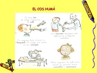 EL COS HUMÀEL COS HUMÀ
 