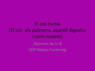 El cos humà
(El cor, els pulmons, aparell digestiu
             i com naixem)
            Alumnes de 1r B
         CEIP Mateu Fontirroig
 