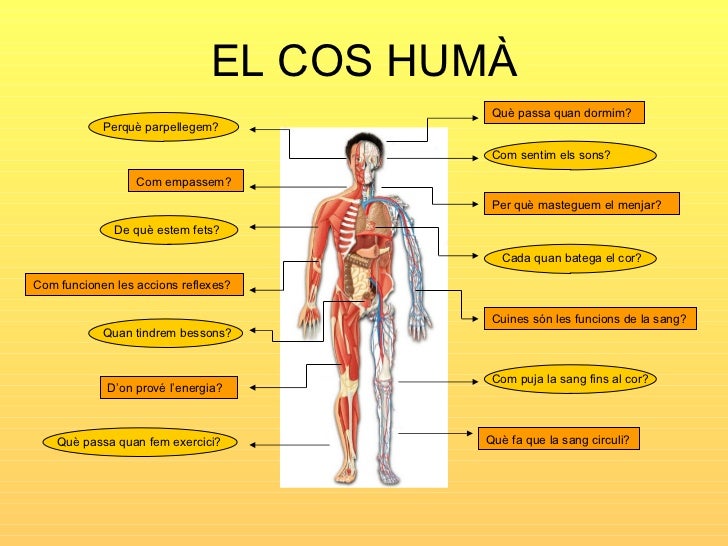 El Cos Hum El Cos Hum