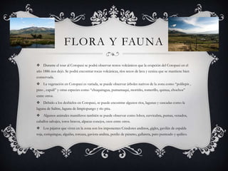 FLORA Y FAUNA
 Durante el tour al Cotopaxi se podrá observar restos volcánicos que la erupción del Cotopaxi en el
año 1886 nos dejó. Se podrá encontrar rocas volcánicas, ríos secos de lava y ceniza que se mantiene bien
conservada.
 La vegetación en Cotopaxi es variada, se puede observar árboles nativos de la zona como “polilepis ,
pino , capulí” y otras especies como “chuquiragua, pumamaqui, mortiño, romerillo, quinua, chochos”
entre otros.
 Debido a los deshielos en Cotopaxi, se puede encontrar algunos ríos, lagunas y cascadas como la
laguna de Salitre, laguna de limpiopungo y río pita.
 Algunos animales mamíferos también se puede observar como lobos, cervicabra, pumas, venados,
caballos salvajes, toros bravos, alpacas conejos, osos entre otros.
 Los pájaros que viven en la zona son los imponentes Cóndores andinos, gigles, gavilán de espalda
roja, curiquingue, alguilas, torcaza, gaviota andina, perdiz de páramo, gallareta, pato punteado y quilico.
 