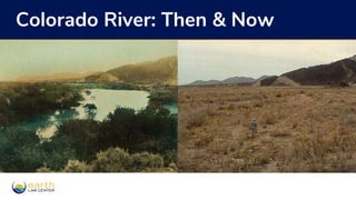 Earth Law Center: Rights of Rivers | PPTX