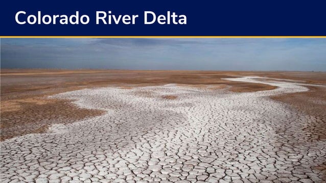 Earth Law Center: Rights of Rivers | PPTX