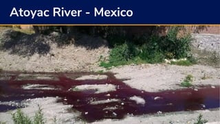 Earth Law Center: Rights of Rivers | PPTX