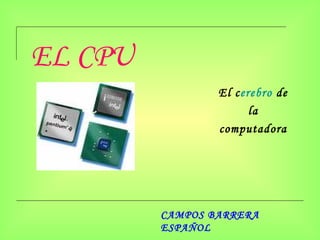 EL CPU El c erebro  de la computadora CAMPOS BARRERA ESPAÑOL 
