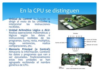En la CPU se distinguen
Unidad de Control: Su función es
dirigir al resto de las unidades e
interpretar
las
instrucciones
recibidas.
Unidad Aritmético Lógica o ALU:
Realiza operaciones matemáticas y
lógicas según los datos o
instrucciones recibidas de los
programas. Suma, resta, multiplica,
niega
sentencias,
realiza
comparaciones, etc.
Memoria Principal (o Central);
Almacena la información. Contiene
los datos y programas que van a
ser ejecutados. Tradicionalmente
estas tres unidades se han
agrupado recibiendo el nombre
genérico de CPU.

 
