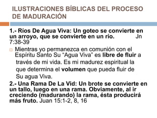 ILUSTRACIONES BÍBLICAS DEL PROCESO
 DE MADURACIÓN

1.- Ríos De Agua Viva: Un goteo se convierte en
un arroyo, que se convierte en un río.            Jn
7:38-39
 Mientras yo permanezca en comunión con el
  Espíritu Santo Su “Agua Viva” es libre de fluir a
   través de mi vida. Es mi madurez espiritual la
   que determina el volumen que pueda fluir de
   Su agua Viva.
2.- Una Rama De La Vid: Un brote se convierte en
un tallo, luego en una rama. Obviamente, al ir
creciendo (madurando) la rama, ésta producirá
más fruto. Juan 15:1-2, 8, 16
 