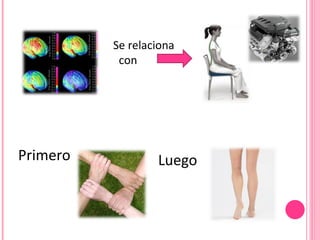 Se relaciona  con Primero Luego 