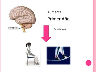 Aumenta Primer Año Se relaciona 