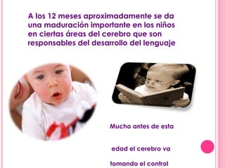 A los 12 meses aproximadamente se da una maduración importante en los niños en ciertas áreas del cerebro que son responsables del desarrollo del lenguaje  Mucho antes de esta  edad el cerebro va  tomando el control  del análisis de los  sonidos que percibe 