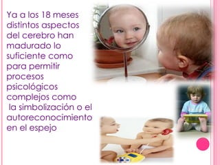 Ya a los 18 meses distintos aspectos  del cerebro han madurado lo suficiente como  para permitir procesos  psicológicos complejos como la simbolización o el autoreconocimiento en el espejo 