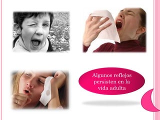 Algunos reflejos persisten en la vida adulta 