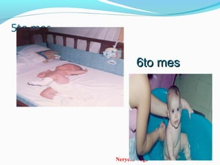 Neryeth Vega
5to mes
6to mes6to mes
 