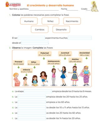 El crecimiento y desarrollo humano
nida
d
1
1.	 Colorea
Colorea las palabras necesarias para completar la frase.
Humano
  
Niñez
  
Nacimiento
Cambios
  
Desarrollo
El ser experimenta muchos
desde el .
2.	 Observa
Observa la imagen. Completa
Completa las frases
Prenatal
(0 a 9 meses)
Niñez
(8 a 10 u 11 años)
Pubertad
(10 u 11 a 13 años)
Adolescencia
(14 a 20 años)
Juventud
(20 a 25 años)
Adultez
(25 a 60 años)
Ancianidad
(60 a más)
Infancia
(0 a 6 o 7 años)
a.	 La etapa empieza desde los 0 hasta los 9 meses.
b.	 La empieza desde los 20 hasta los 25 años.
c.	 La empieza a los 60 años.
d.	 La va desde los 10 u 11 años hasta los 13 años.
e.	 La va desde los 25 hasta los 60 años.
f.	 La va desde los 14 hasta los 20 años.
Nombre y apellidos: Fecha: Grado:
 