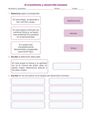 Nombre y apellidos:                 Fecha:        Grado:    
ida
El crecimiento y desarrollo humano
1.	 Relaciona
Relaciona según corresponda:
En esta etapa se aprende a
leer, escribir y jugar.
Adolescencia
En esta etapa continúan los
cambios físicos y, se hacen
más evidentes los cambios
en la personalidad.
Adultez
El cuerpo está
completamente
desarrollado y preparado
para tener hijos.
Niñez
2.	 Escribe
Escribe la definición adecuada.
En esta etapa la fuerza y la agilidad
no es la misma de antes, pero se
posee mayor experiencia gracias a
los años vividos.
3.	 Escribe
Escribe en los recuadros las 8 etapas del desarrollo humano.
 
 
 
 
 