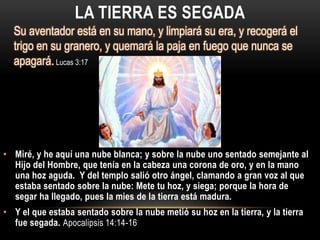 LA TIERRA ES SEGADA
  Su aventador está en su mano, y limpiará su era, y recogerá el
  trigo en su granero, y quemará la paja en fuego que nunca se
  apagará. Lucas 3:17




• Miré, y he aquí una nube blanca; y sobre la nube uno sentado semejante al
  Hijo del Hombre, que tenía en la cabeza una corona de oro, y en la mano
  una hoz aguda. Y del templo salió otro ángel, clamando a gran voz al que
  estaba sentado sobre la nube: Mete tu hoz, y siega; porque la hora de
  segar ha llegado, pues la mies de la tierra está madura.
• Y el que estaba sentado sobre la nube metió su hoz en la tierra, y la tierra
  fue segada. Apocalipsis 14:14-16
 