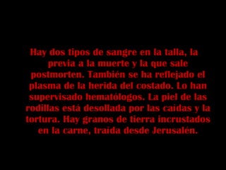 Hay dos tipos de sangre en la talla, la previa a la muerte y la que sale postmorten. También se ha reflejado el plasma de la herida del costado. Lo han supervisado hematólogos. La piel de las rodillas está desollada por las caídas y la tortura. Hay granos de tierra incrustados en la carne, traída desde Jerusalén. 