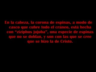 En la cabeza, la corona de espinas, a modo de casco que cubre todo el cráneo, está hecha con “ziziphus jujuba”, una especie de espinas que no se doblan, y son con las que se cree que se hizo la de Cristo. 