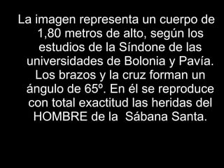 La imagen representa un cuerpo de 1,80 metros de alto, según los estudios de la Síndone de las universidades de Bolonia y Pavía. Los brazos y la cruz forman un ángulo de 65º. En él se reproduce con total exactitud las heridas del HOMBRE de la  Sábana Santa. 