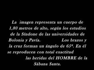 La imagen representa un cuerpo de
 1,80 metros de alto, según los estudios
  de la Síndone de las universidades de
 Bolonia y Pavía.            Los brazos y
 la cruz forman un ángulo de 65º. En él
se reproducen con total exactitud
          las heridas del HOMBRE de la
               Sábana Santa.
 