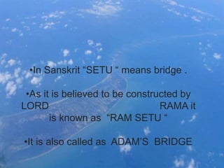 •In Sanskrit “SETU “ means bridge .
•As it is believed to be constructed by
LORD RAMA it
is known as “RAM SETU “
•It is also called as ADAM’S BRIDGE
 