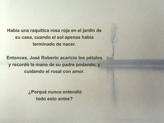 Había una raquítica rosa roja en el jardín de su casa, cuando el sol apenas había terminado de nacer. Entonces, José Roberto acaricio los pétalos y recordó la mano de su padre podando, y cuidando el rosal con amor.   ¿Porqué  nunca entendió todo esto antes? 