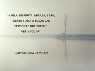 “ HABLA, DISFRUTA, ABRAZA, BESA, SIENTE Y AMA A TODAS LAS PERSONAS QUE PUEDES VER Y TOCAR"   ¡¡¡ APROVECHA LA VIDA!!! 