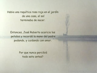 Habia una raquítica rosa roja en el jardín   de una casa, el sol  terminaba de nacer.  Entonces, José Roberto acaricio los  petalos y recordó la mano del padre podando, y cuidando con amor.   Por que nunca percibió todo esto antes? 