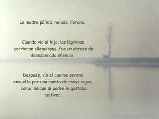 La  madre pálida, helada, llorona.  Cuando vio al hijo, las lágrimas  corrieron silenciosas, fue un abrazo de desesperado silencio.  Después, vio el cuerpo sereno envuelto por una manta de rosas rojas,   como las que al padre le gustaba  cultivar. 