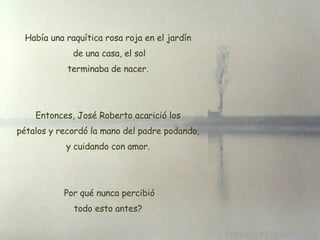 Había una raquítica rosa roja en el jardín   de una casa, el sol  terminaba de nacer.  Entonces, José Roberto acarició los pétalos y recordó la mano del padre podando, y cuidando con amor.   Por qué nunca percibió todo esto antes? 