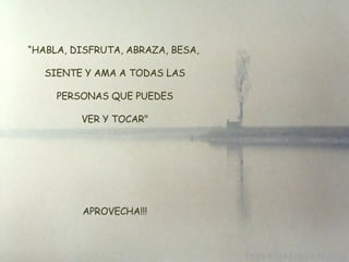 “ HABLA, DISFRUTA, ABRAZA, BESA, SIENTE Y AMA A TODAS LAS  PERSONAS QUE PUEDES  VER Y TOCAR"   APROVECHA!!! 