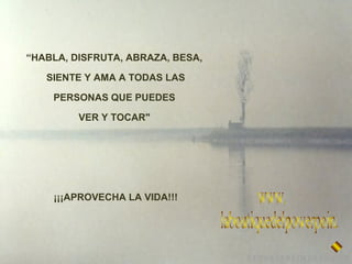“HABLA, DISFRUTA, ABRAZA, BESA,
SIENTE Y AMA A TODAS LAS
PERSONAS QUE PUEDES
VER Y TOCAR"

¡¡¡APROVECHA LA VIDA!!!

 