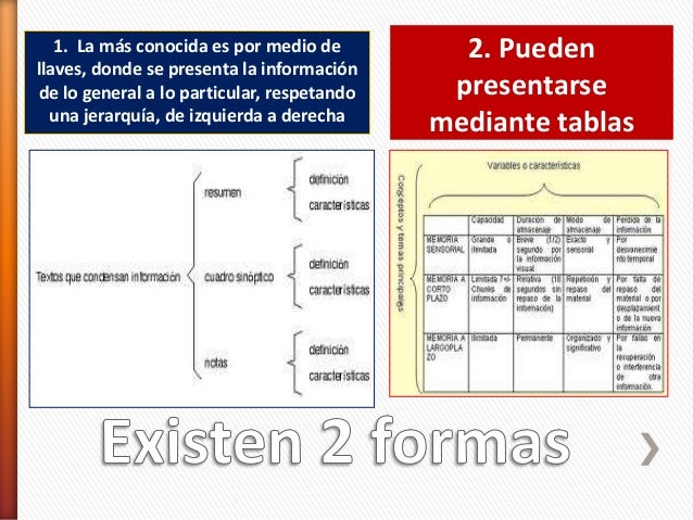 El cuadro sinóptico, línea del tiempo y el ensayo