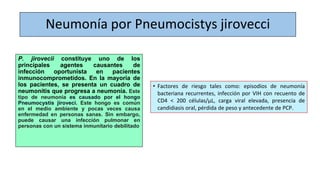 Neumonía por Pneumocistys jirovecci
P. jirovecii constituye uno de los
principales agentes causantes de
infección oportunista en pacientes
inmunocomprometidos. En la mayoría de
los pacientes, se presenta un cuadro de
neumonitis que progresa a neumonía. Este
tipo de neumonía es causado por el hongo
Pneumocystis jiroveci. Este hongo es común
en el medio ambiente y pocas veces causa
enfermedad en personas sanas. Sin embargo,
puede causar una infección pulmonar en
personas con un sistema inmunitario debilitado
• Factores de riesgo tales como: episodios de neumonía
bacteriana recurrentes, infección por VIH con recuento de
CD4 < 200 células/µL, carga viral elevada, presencia de
candidiasis oral, pérdida de peso y antecedente de PCP.
 