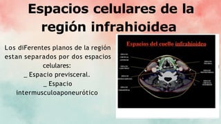 Espacios celulares de la
región infrahioidea
Los diFerentes planos de la región
estan separados por dos espacios
celulares:
_ Espacio previsceral.
_ Espacio
intermusculoaponeurótico
 