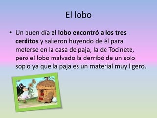 El lobo
• Un buen día el lobo encontró a los tres
cerditos y salieron huyendo de él para
meterse en la casa de paja, la de Tocinete,
pero el lobo malvado la derribó de un solo
soplo ya que la paja es un material muy ligero.
 